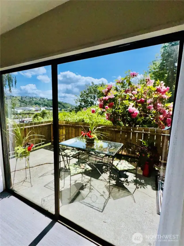 This south wall has 2, 8 foot patio doors that are in the process of being replaced.