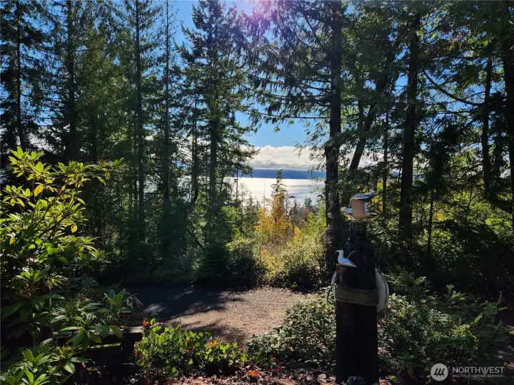 view of Hood Canal
