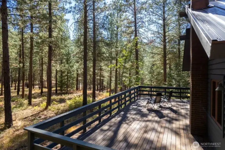 East side of Home has a wood deck off of the Kitchen for Easy Summer dinner outdoors.