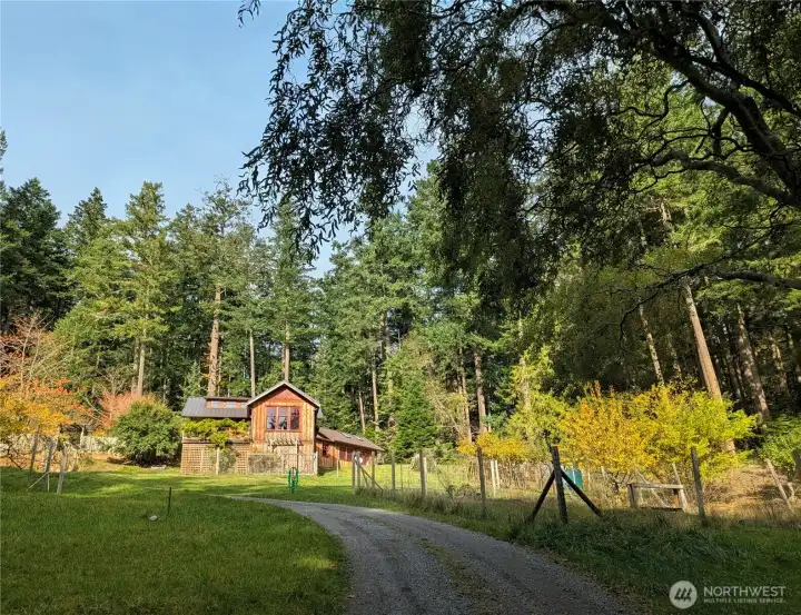 A nice gravel driveway brings you through an enchanted forest and to this bright sunny oasis! Fenced garden with extra rain catchment to the right in this picture.