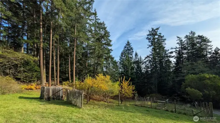 Ready for your spring garden dreams!