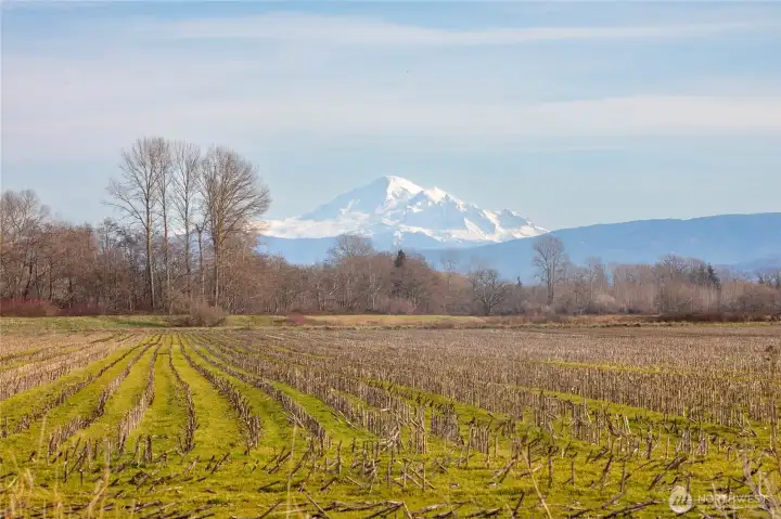Beautiful Mt Baker view
