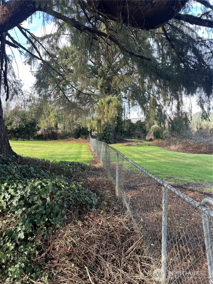 View from deck looking to end of propety