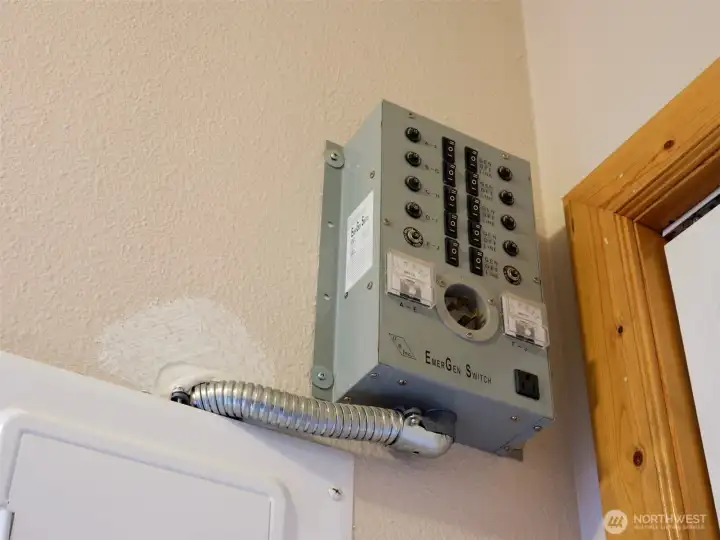 Switches for wiring for generator