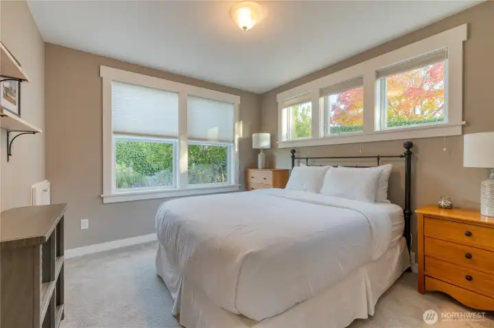 Another main level bedroom.