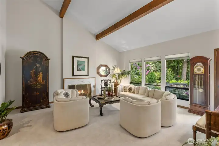 Living Room - Vaulted Ceiling and Park View