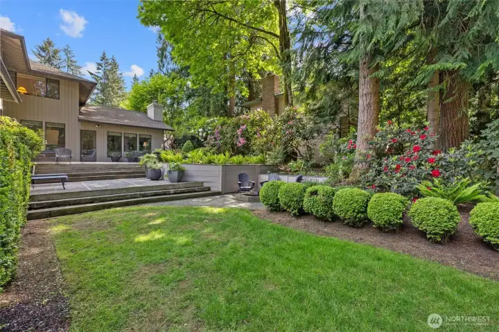 Back yard and patio view