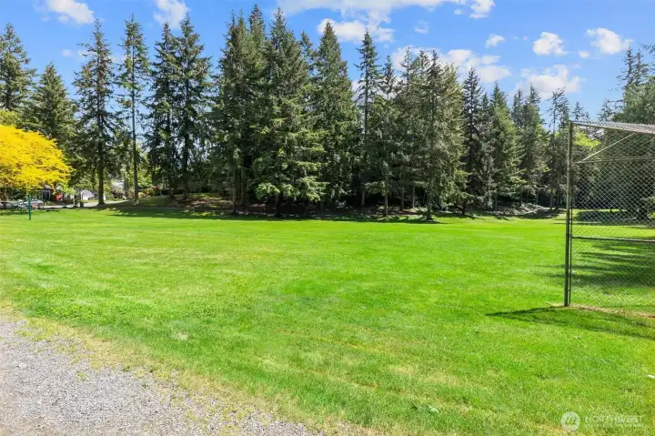 Back Yard Extended with 6 Acres of P  ark