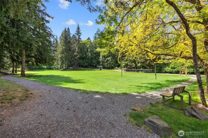 Daily Peaceful Park View