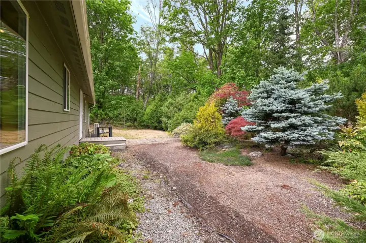 Backyard Area