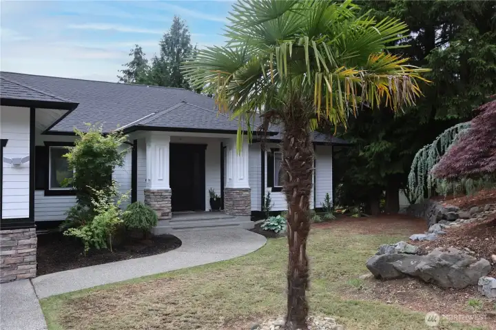 A striking palm tree anchors the front yard, a fun and unexpected touch against the backdrop of towering evergreens. A striking palm tree anchors the front yard, a fun and unexpected touch against the backdrop of towering evergreens.