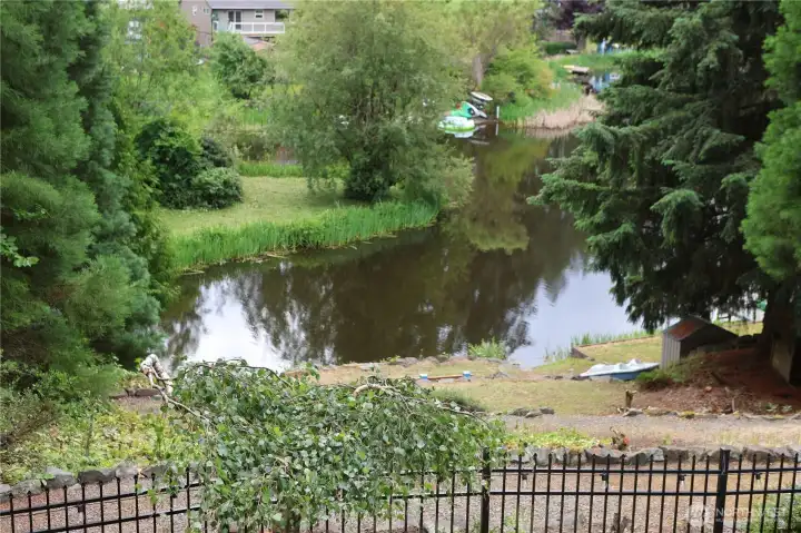 Enjoy all types of wildlife on and around this lake including eagles, osprey, herons, turtles, ducks, geese, deer and more. Enjoy all types of wildlife on and around this lake including eagles, osprey, herons, turtles, ducks, geese, deer and more.