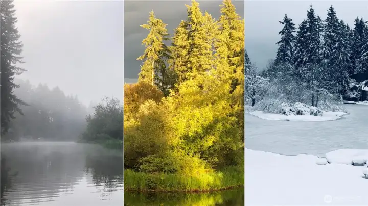 Misty mornings, golden autumn light, and a snow-covered shoreline all show the year-round beauty of life on Lake Debra Jane. Misty mornings, golden autumn light, and a snow-covered shoreline all show the year-round beauty of life on Lake Debra Jane.
