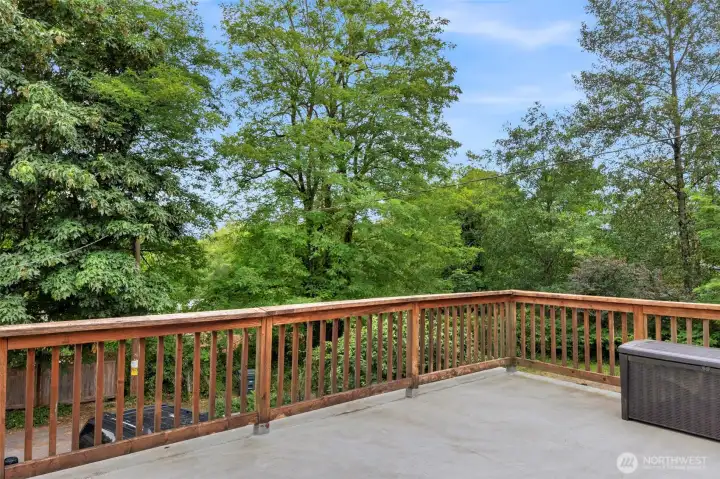 Large deck for entertaining. Plenty of room for outdoor furniture too.