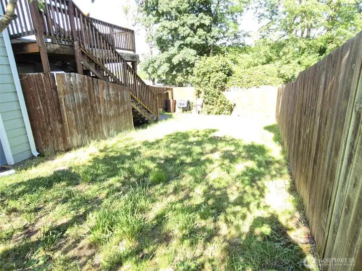 Lower part of fenced side yard.