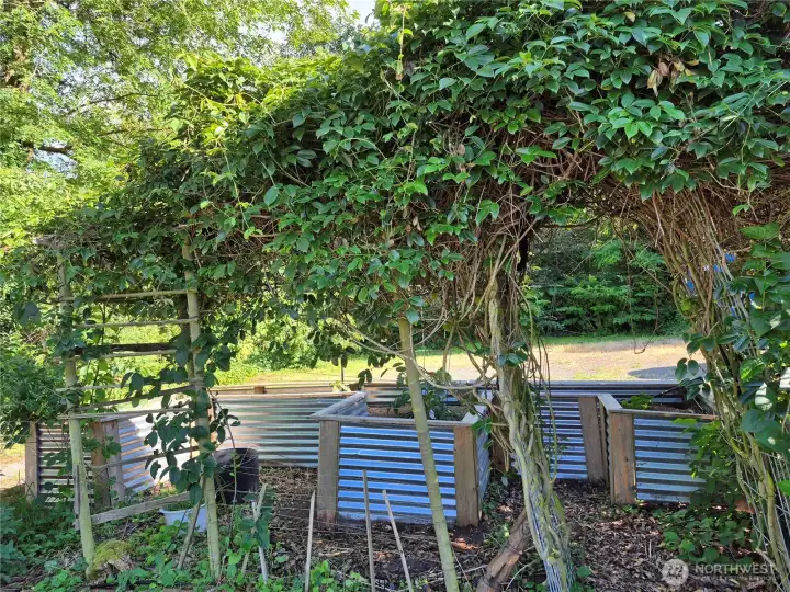 Raised garden beds.