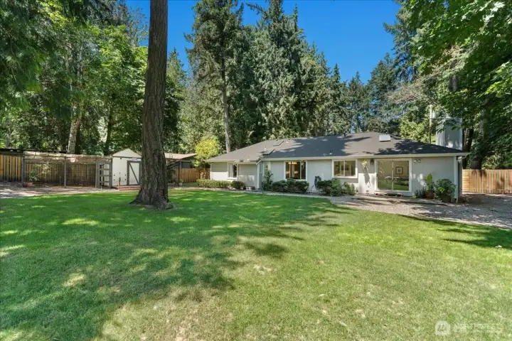 Expansive fully fenced backyard featuring fresh new landscaping perfect for entertaining and plenty of room to relax or gather with family and friends. Expansive fully fenced backyard featuring fresh new landscaping perfect for entertaining and plenty of room to relax or gather with family and friends.