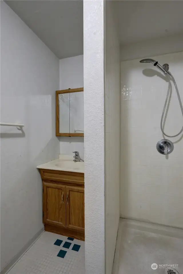 2nd bathroom on main floor with shower.