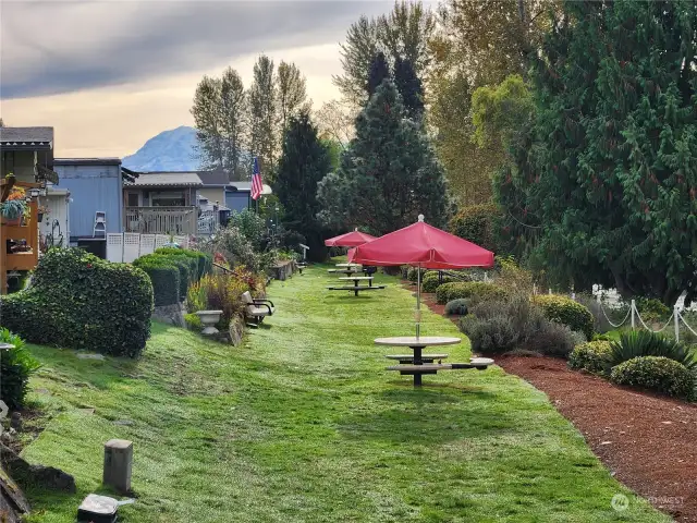 Community BBQ areas along river