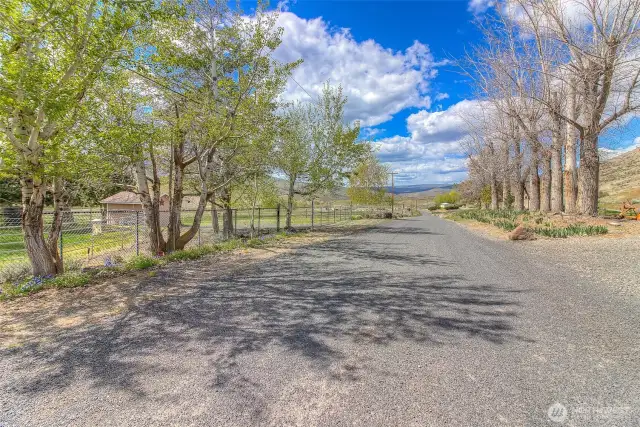 Quiet country road!