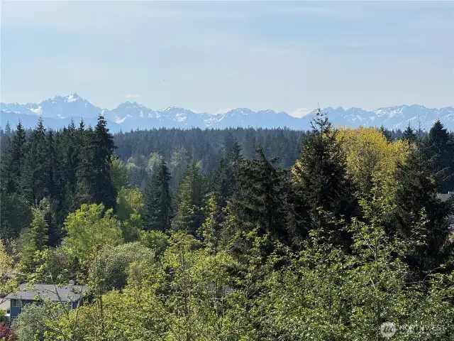 The Olympics right off your deck.