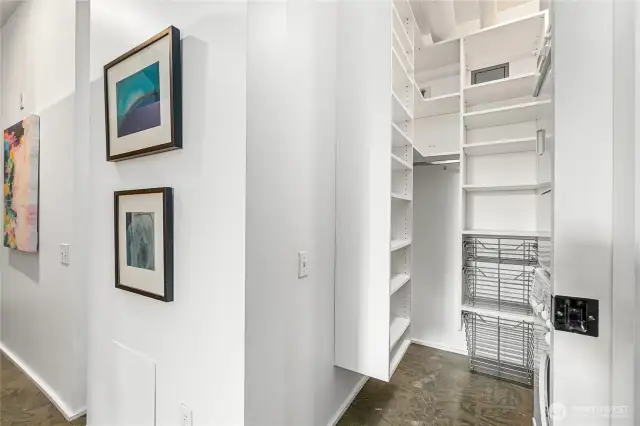 The well-appointed walk-in closet and full size washer and dryer.
