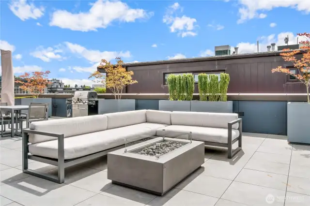 The well-appointed rooftop deck includes a seating area with fire feature, dining table, BBQ and views!