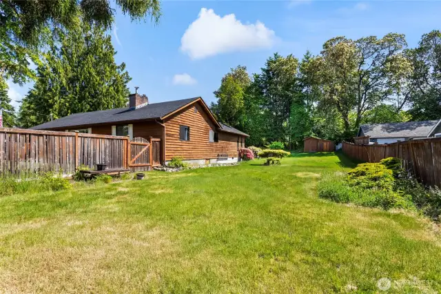 Standing at the front of the side yard.