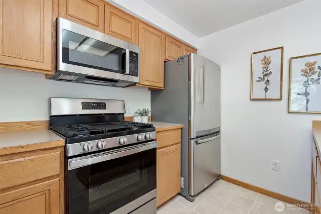 Stainless Appliances