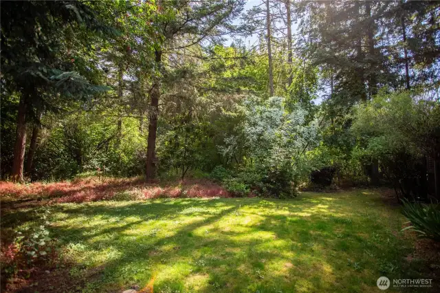 large back yard with mature landscaping fenced