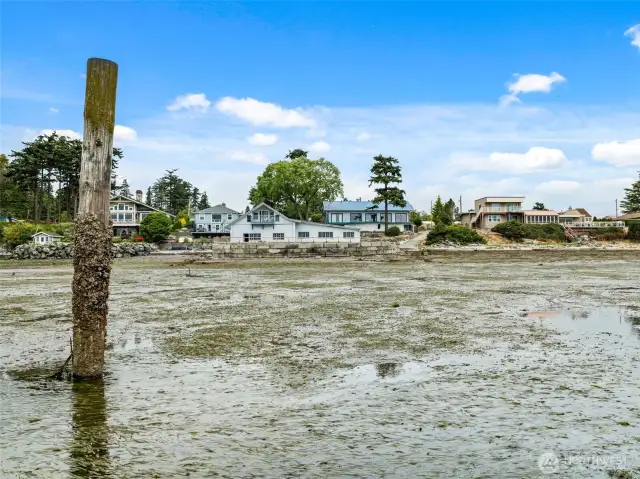 One of the original dock pilings still stands as a reminder of the property’s rich maritime history, when boats once moored at the cannery’s waterfront dock.