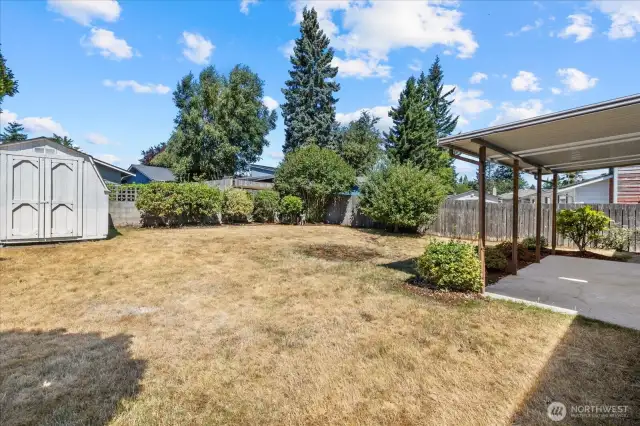 Large backyard shed provides ample extra storage