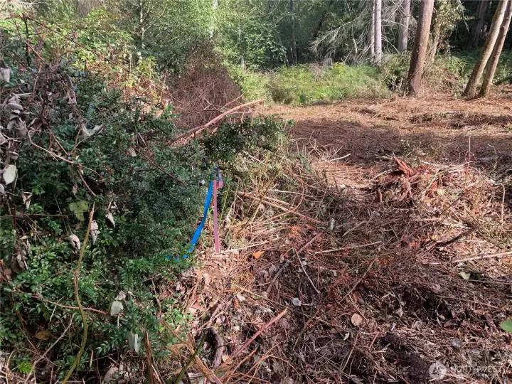 Property had a wetland delineation back in 2023 by Habitat Technologies