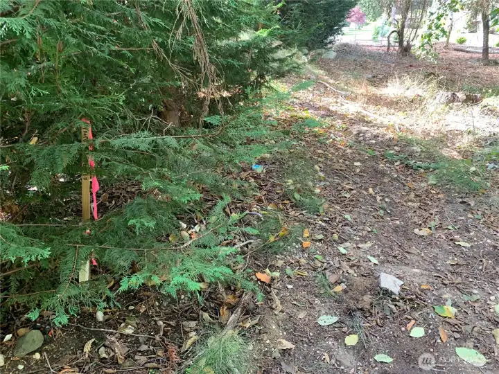 Corner marker is located just a few feet off the edge of the trail.