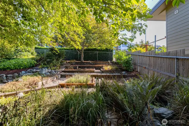Terraced gardens for intentional plantings.