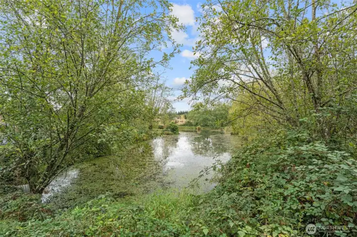 Spring-fed pond stocked with fish: peaceful, private, and picture-perfect.