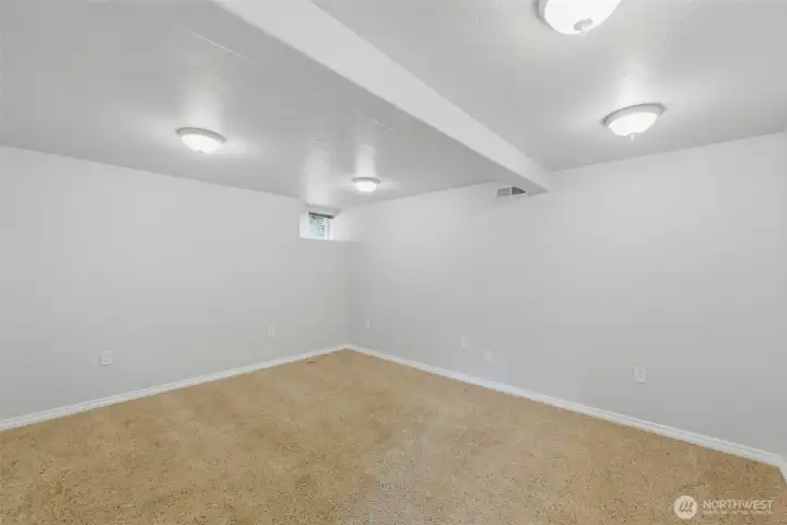Main house downstairs bonus room