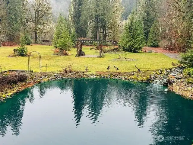 Pond