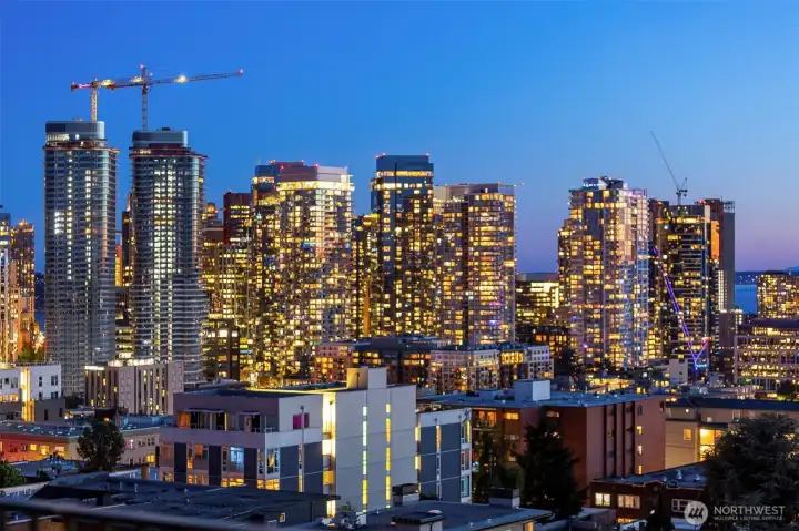 Take a peaceful stroll to Volunteer Park, home to the Conservatory and Seattle Asian Art Museum, or hop on the nearby light rail for a quick ride downtown, to South Lake Union, or the University of Washington.