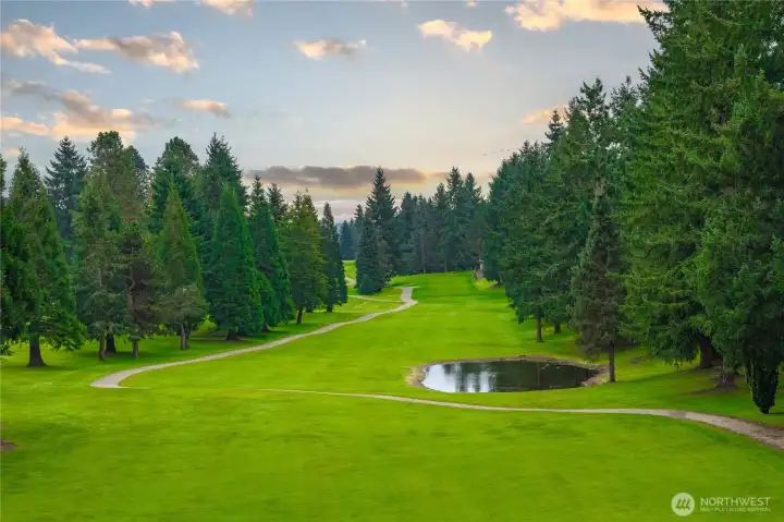 Look out to the 9th tee!