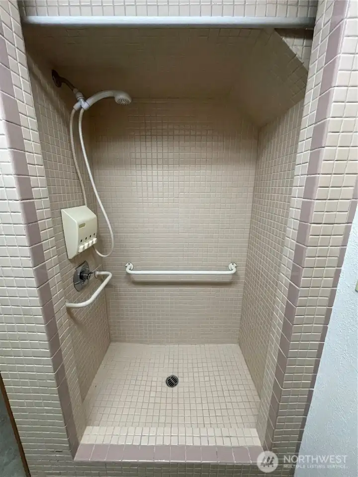 Shower Main Level