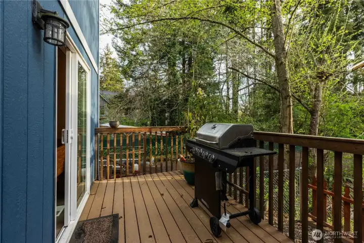 Back deck overlooking spacious yard.