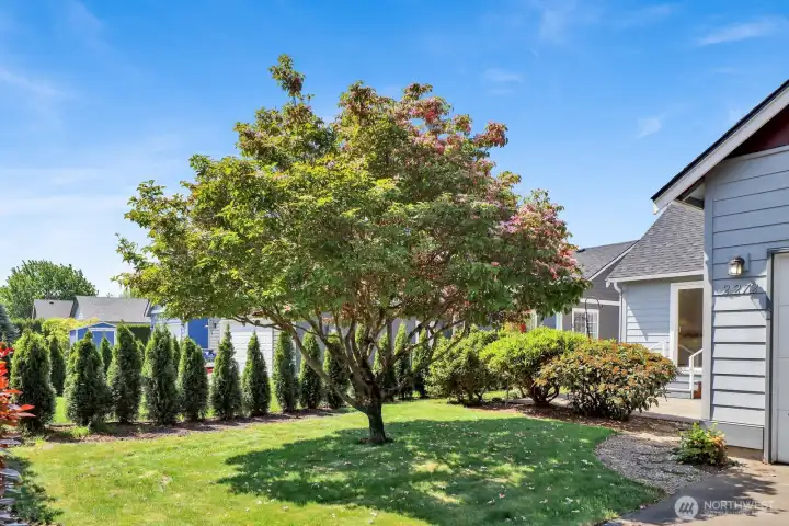 Your own little yard!