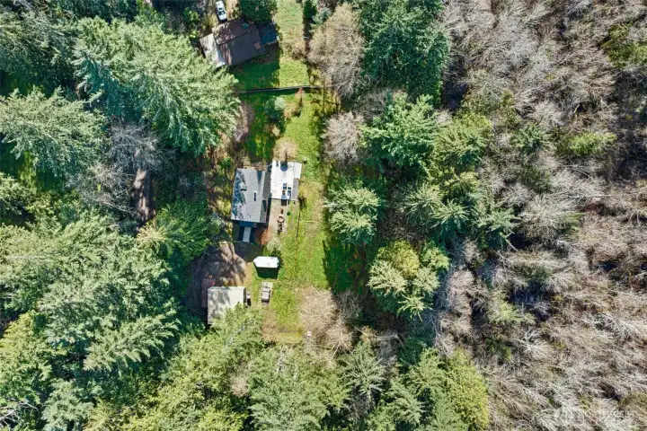 Overhead view of the house and property. A great combination of open space and treed privacy. Properties like this one don't come on the market often. Don't miss making it yours. Overhead view of the house and property. A great combination of open space and treed privacy. Properties like this one don't come on the market often. Don't miss making it yours.