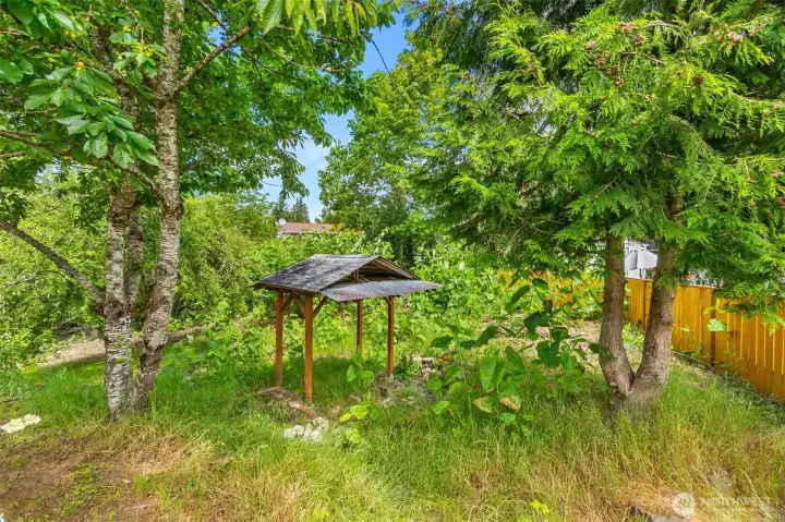 covered fire pit next to seasonal pond covered fire pit next to seasonal pond
