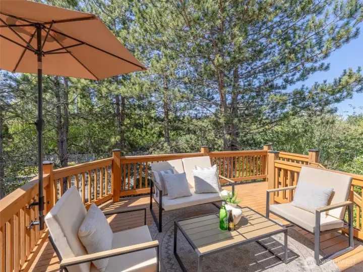 The deck off the family room is both sunny and private The deck off the family room is both sunny and private