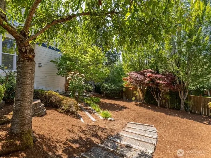 Let your dog roam! The large yard offers space for play and entertaining. Let your dog roam! The large yard offers space for play and entertaining.