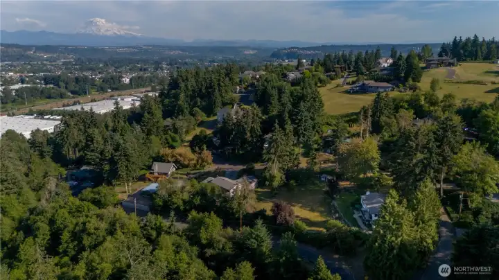 Peek-a-boo's of Mt Rainier on your evening strolls in this neighborhood.
