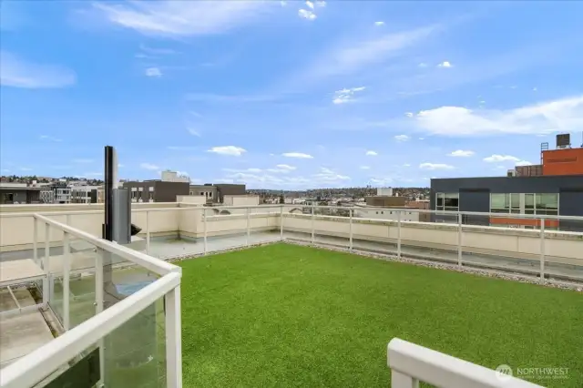 RoofTop Dog Run