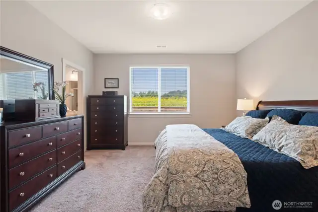 Primary bedroom with walk-in closet